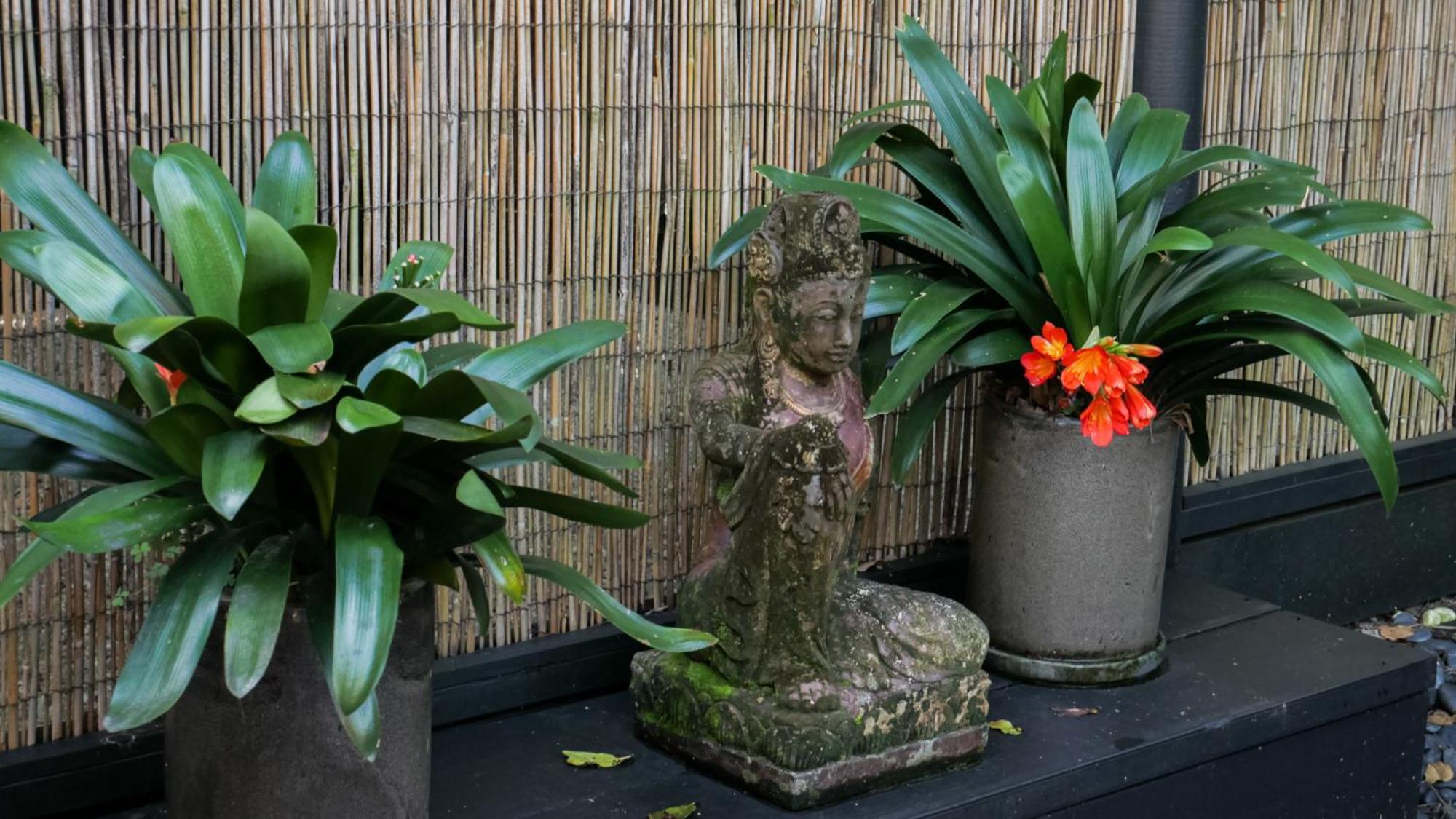 Hotel Shambhala @ Byron Byron Bay Exterior foto
